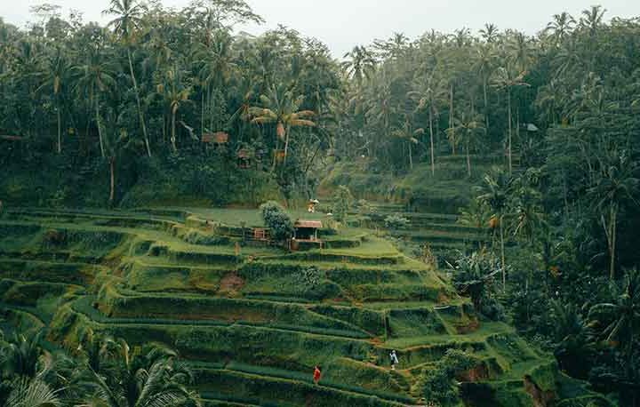 Paket Tour Kintamani Tanah Lot ; Batubulan, Tegalalang, Pura Tanah Lot