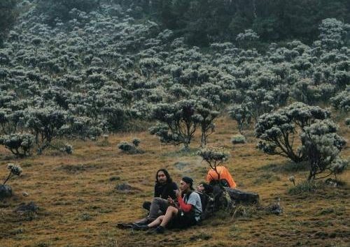 Paket Hiking Gunung Gede Pangrango 2 Hari 1 Malam (2H1M)