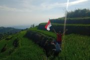 Paket Trekking Gunung Kuta