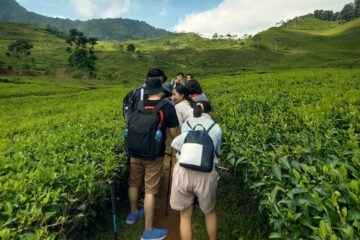 Paket Trekking Telaga Warna dan Telaga Saat Puncak