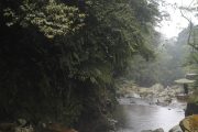 Trekking Bogor: Lembah Tepus GSE