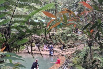 Trekking Bogor: Lembah Tepus GSE