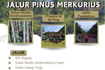 Trekking Merapi Jalur Pinus Merkurius 6,5 KM