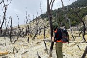 Gunung Papandayan