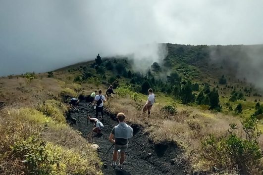 Paket Hiking Gunung Papandayan 1 Hari