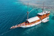 Sewa Kapal Labuhan Bajo Vidi Liveaboard