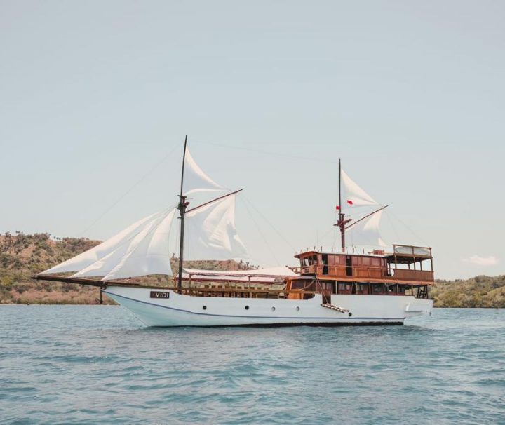 Sewa Kapal Labuan Bajo Vidi Liveboard