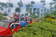 Paket Jeep Kebun Teh Kemuning Solo