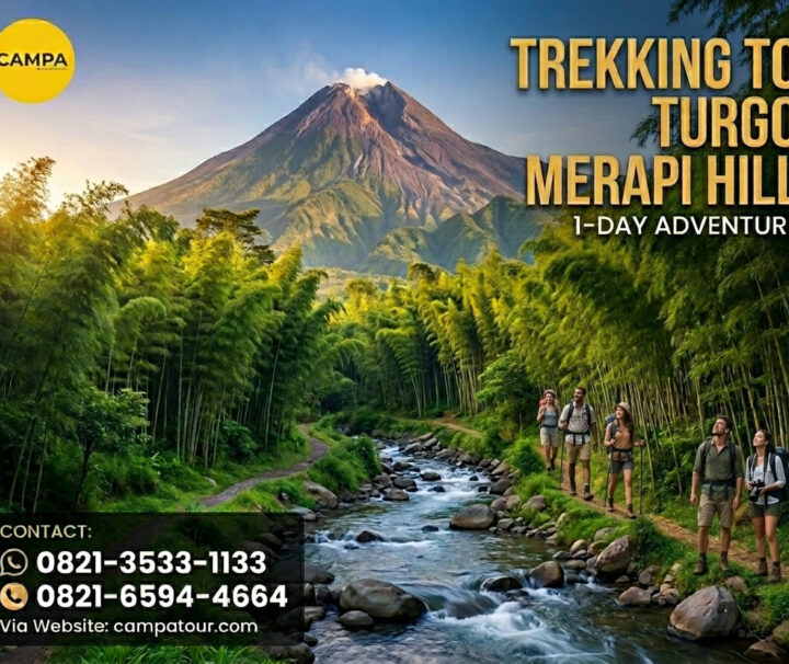Trekking Merapi jalur Pinus Merkusi Panjang 6,3 km – Jogja 1 Hari - CAMPA TOUR