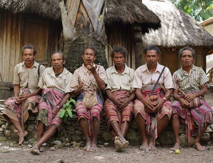 Paket Tour Kupang 1 Hari: Kampung Adat Boti