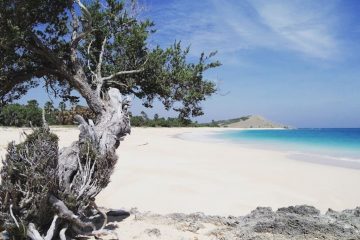 Paket Tour Pulau Semau 1 Hari