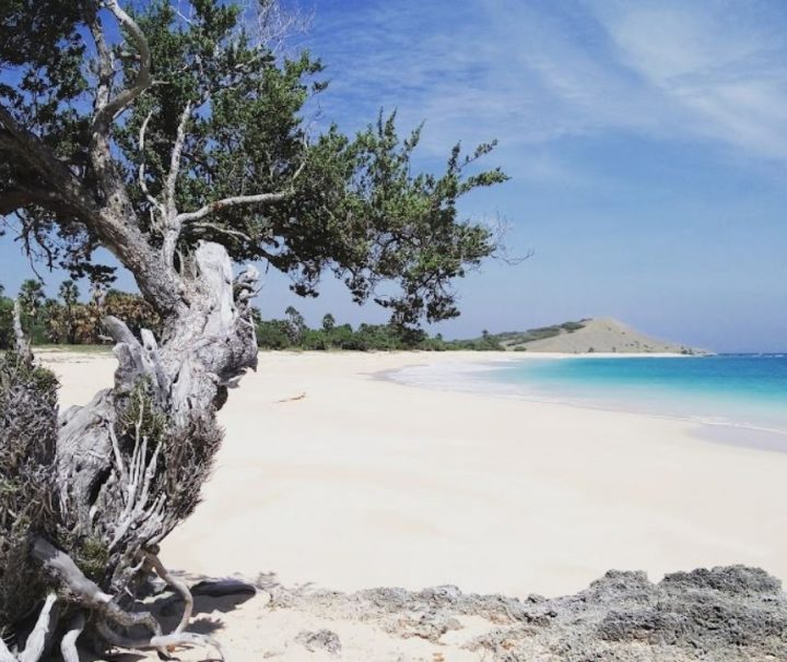 Paket Tour Pulau Semau 1 Hari