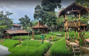 Sawah Segar Resto and Nursery