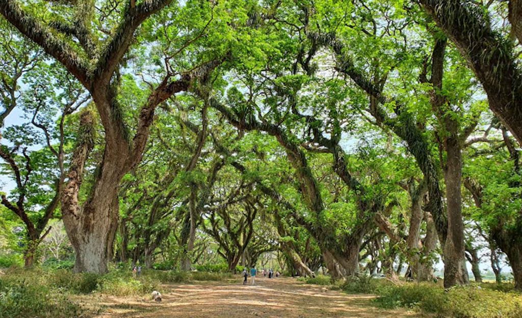 Paket Tour Wisata Banyuwangi 2025