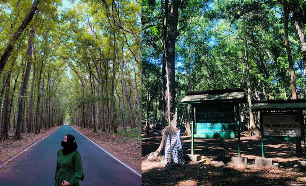 Paket Tour Wisata Banyuwangi 2025