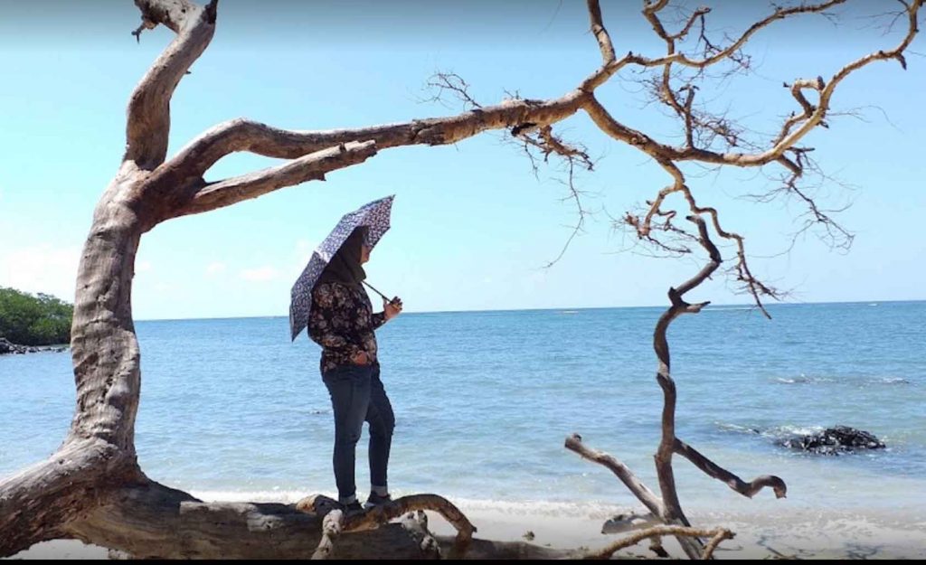 Paket Tour Wisata Banyuwangi 2025