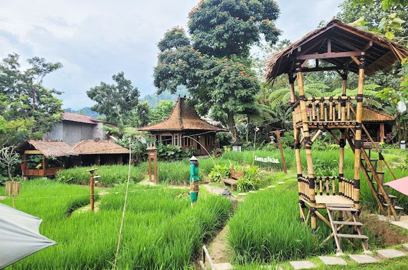 Kampung Sawah Segar Sentul, Wisata Kuliner yang Wajib Dikunjungi