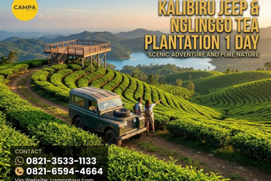Paket Jeep Kalibiru dan Kebun Teh Nglinggo 1 Hari - Campa Tour