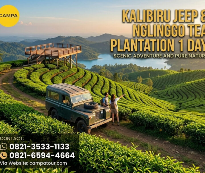 Paket Jeep Kalibiru dan Kebun Teh Nglinggo 1 Hari - Campa Tour