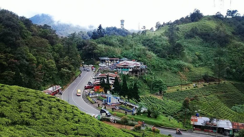 Suasana Kebun Teh Puncak Pass