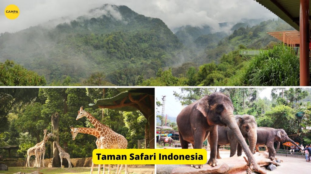 Taman-safari-indonesia