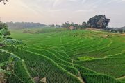 Paket Tour Majalengka 1 Hari: Cipeutuy Sindangwangi