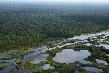 Paket Trekking 1 Hari Taman Nasional Sebangau