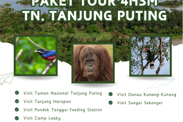 Paket Tour Tanjung Puting 4 Hari 3 Malam (4H3M)