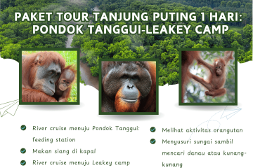 Paket Tour Tanjung Puting 1 Hari: Pondok Tanggui-Leakey Camp