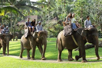 Bali Elephant Ride Dan Uluwatu Tour