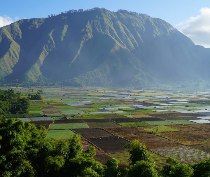 ONE DAY TRIP LOMBOK: PUSUK PASS, DESA BELEQ, DAN BUKIT SELONG