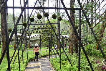 Paket Tour Bandung 1 Hari: Orchid Forest Cikole, Sari Ater Hot Spring Water Dan Farmhouse Lembang