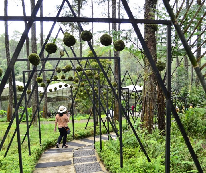 Paket Tour Bandung 1 Hari: Orchid Forest Cikole, Sari Ater Hot Spring Water Dan Farmhouse Lembang