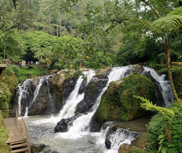Paket Tour Bandung 1 Hari: Curug Maribaya, Kebun Bunga Begonia, Tahu Susu Lembang Dan Gedung Asia Afrika