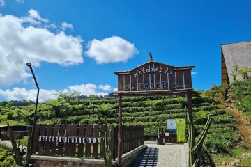 Paket Tour Bandung 1 Hari: Tangkuban Perahu, De Ranch Dan Kebun Teh Ciwalini