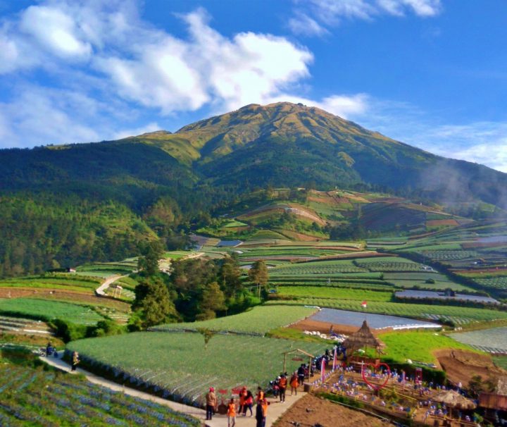 Paket Tour Sukomakmur 1 Hari: Silancur Highland, Nepal Van Java, Dan Nampan Sukomakmur