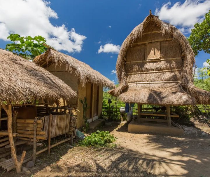 Paket Tour Lombok 1 Hari: Pusuk Pass, Desa Beleq, Dan Bukit Selong