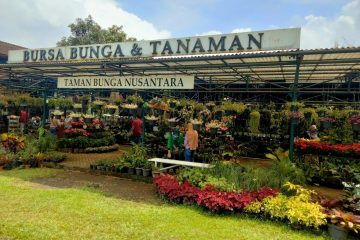 Paket Tour Bogor 1 Hari: Taman Bunga Nusantara Dan Little Venice
