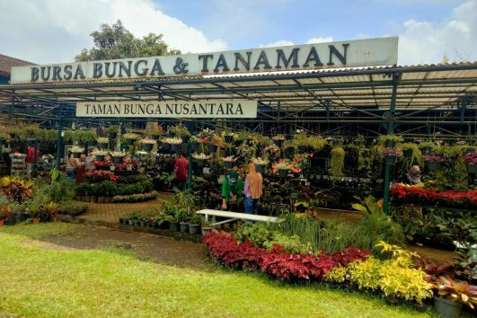 Paket Tour Bogor 1 Hari: Taman Bunga Nusantara Dan Little Venice