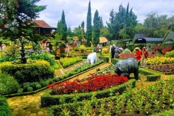 Paket Tour Bandung 1 Hari: Outbond Grafika Cikole, The Lodge Maribaya Dan Taman Begonia