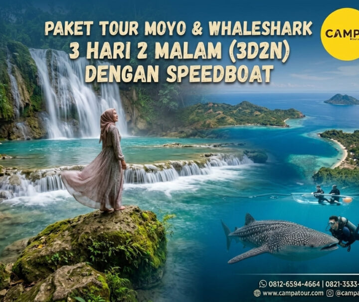 Paket Tour Moyo & Whaleshark Tour 3 Hari 2 Malam (3H2M) By Speed Boat bersama Campa Tour