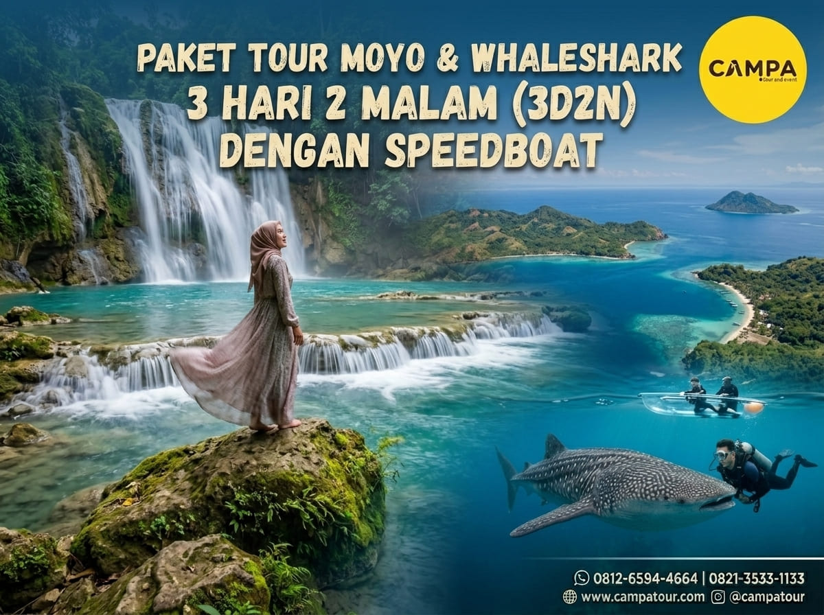 Paket Tour Moyo & Whaleshark Tour 3 Hari 2 Malam (3H2M) By Speed Boat bersama Campa Tour