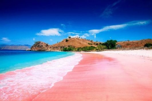 Paket Tour Lombok 1 Hari: Pantai Pink, Snorkeling Gili Petelu Dan Gili Kapal
