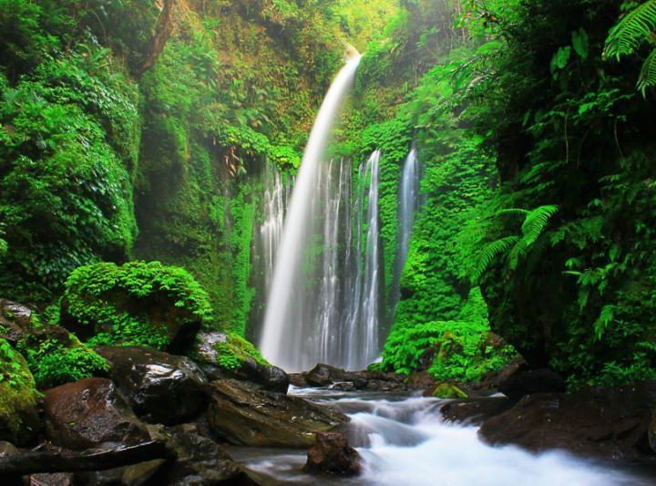 ONE DAY TRIP LOMBOK: MONKEY FOREST PUSUK, AIR TERJUN SENDANG GILE, AIR TERJUN TIU KELEP DAN BASJID KUNO BAYAN
