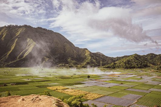 ONE DAY TRIP LOMBOK: BUKIT PUSUK SEMBALU, BUKIT SELONG DAN PETIK STRAWBERRY