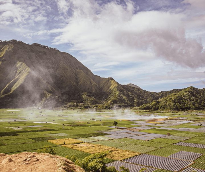 ONE DAY TRIP LOMBOK: BUKIT PUSUK SEMBALU, BUKIT SELONG DAN PETIK STRAWBERRY