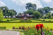 Paket Tour Bogor 1 Hari: Kebun Raya, Museum Zeologi, Dan Alun Alun Kota Bogor
