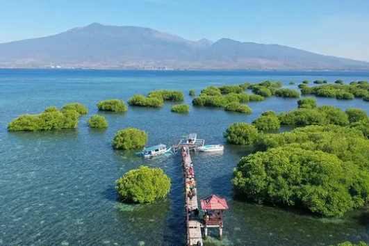 ONE DAY TRIP LOMBOK: POHON PURBA, GILI PETAGAN, GILI KAPAL, BIDARA & KONDO