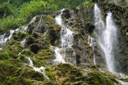 Paket Tour Malang 1 Hari: Air Terjun Tumpak Sewu, Sendang Bidadari, Dan Goa Tetes