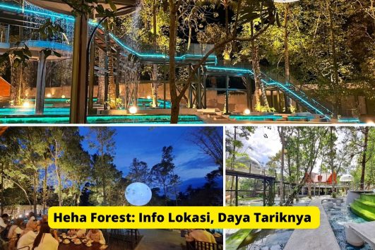 Heha Forest: Info Lokasi, Daya Tarik dan Harga Tiket Masuk